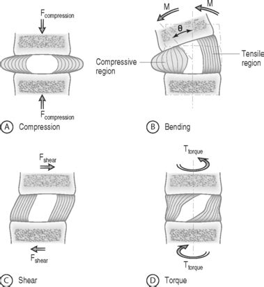 intervertebral disc mechanical test compression|intervertebral disc biomechanics.